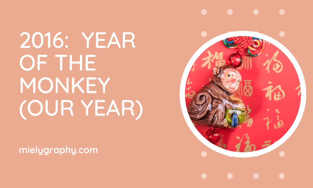 2016 year of the monkey Our Year